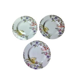 Charter Club Blossom Yellow Purple Floral Vine 10.75" Dinner Plates - Set of 3